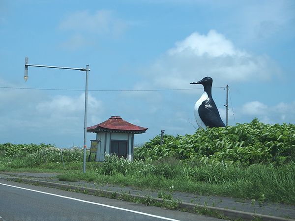 羽幌町のオロロン鳥