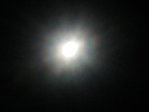 moon13.jpg