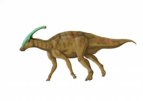 Charonosaurus jiayinensis 1