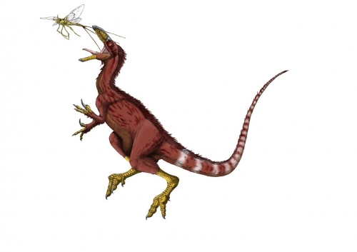 Sinosauropteryx prima_1