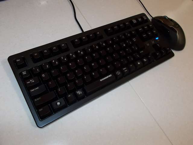 まーぶるめん台 レギュラーサイズ（53.5cm x 43.5cm） 2台つなげた境目の上に DHARMAPOINT Dharma Tactical Keyboard テンキーレスキーボード DRTCKB91UP2 と Logicool G500s Laser Gaming Mouse を置いていたころ