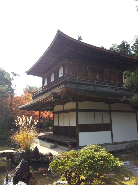 京都観光１