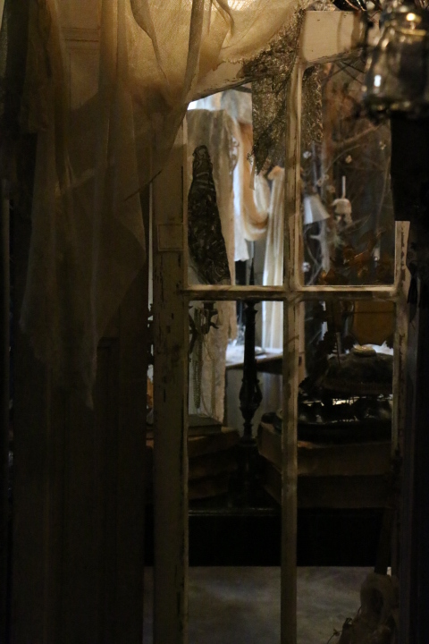 IMG_7245ty.jpg