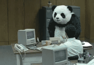 オフィスで暴れるパンダ