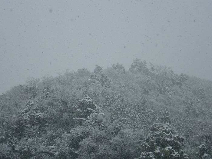 雪景色3_17_12_27