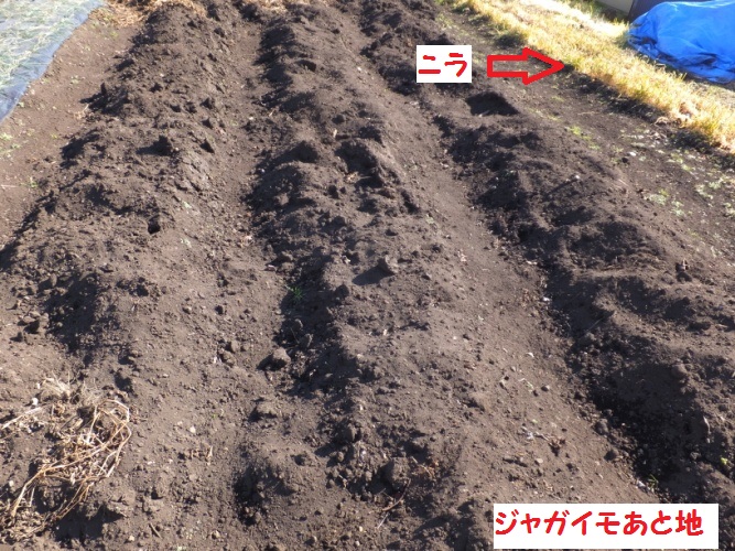 DSCF5692_1.jpg