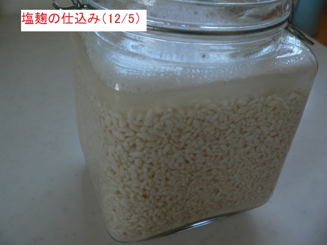 P1380405_1.jpg