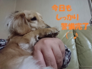 2017_11_29_003ブログ用
