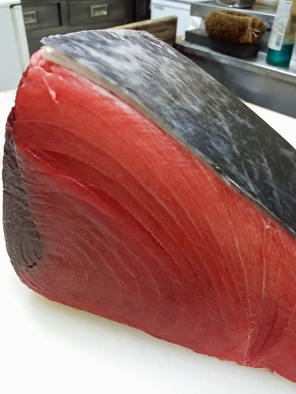 本マグロ　tuna　日本料理店　和食ごはん　割烹食堂いそべ　いそべ食堂　いそべ
