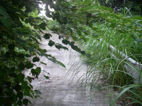 _intteb00101.jpg