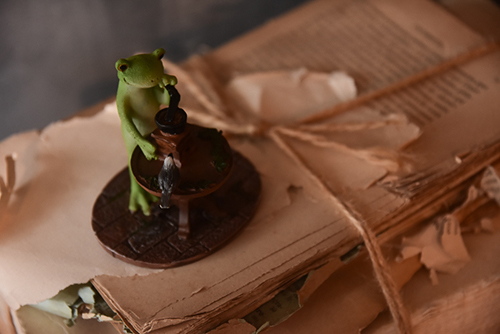 ツバキアキラが撮ったカエルのコポー。コーヒー豆を挽くコポタロウ。スタジオcoucouさんにて。