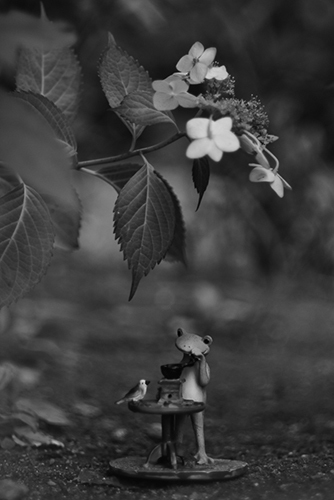 ツバキアキラが撮ったカエルのコポー。Helios44レンズでレトロな白黒写真。草むらの影で珈琲を挽くコポー。