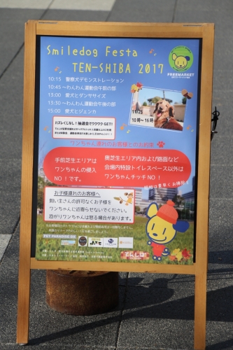 Smiledog Festa TEN-SHIBA