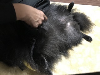 2017-10-29-1.jpg