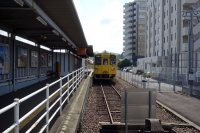 G8123959dsc.jpg