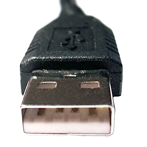 USB_Male_Plug_Type_A.jpg