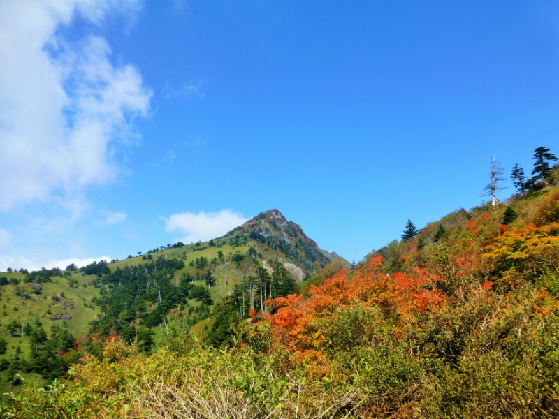 201710110033161ea.jpg