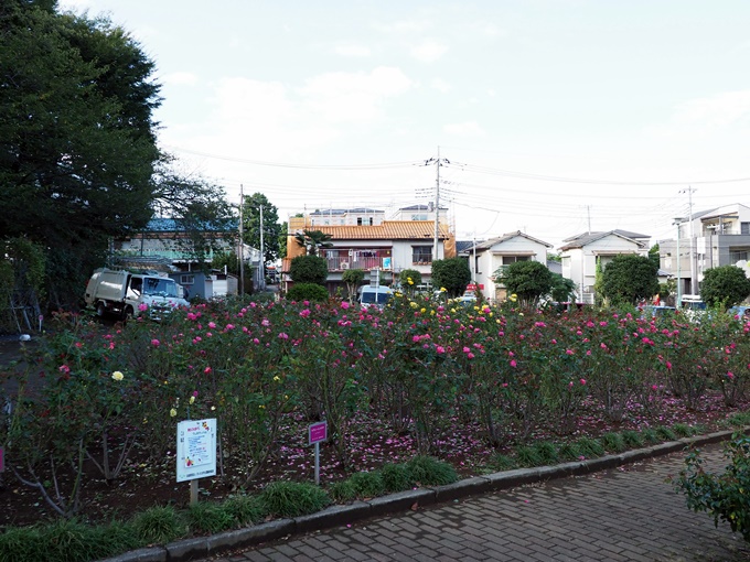blogPA075602.jpg