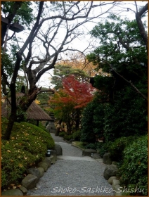 20171223　　木戸門から　　１　　　　八芳園