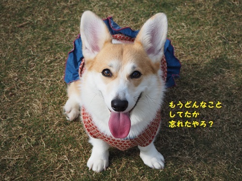 忘れたやろ