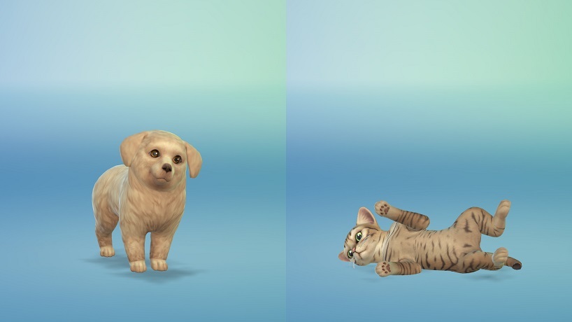 Cats Dogs シムの特質と部屋カタログ Sims4 シムズ４観察日記 The Sims Forever