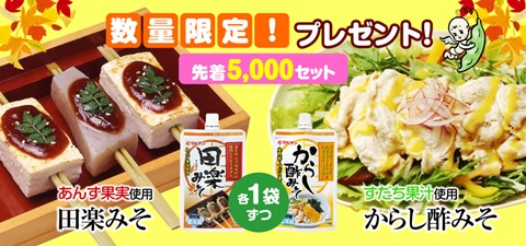 マルサンアイ、豆乳の日キャンペーンで 2種類セットが、+12円、1962円で約49％OFFです！口コミ。