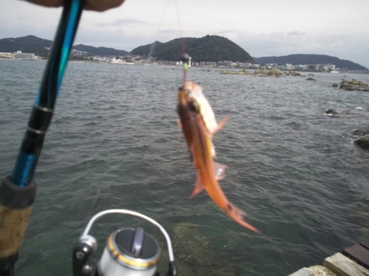 第五回釣り大会葉山2017-09-30 (42)