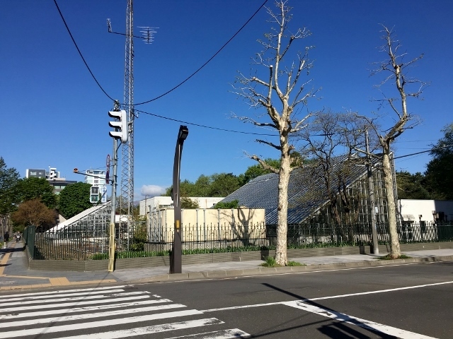 札幌散歩　北海道大学植物園