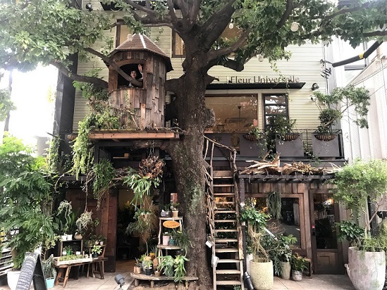 秘密基地のようなツリーハウスがあるカフェ くわブロ