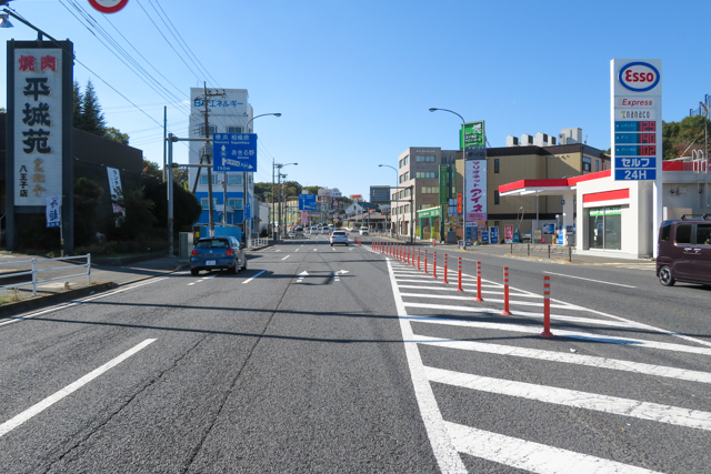 八王子みんみん(1)