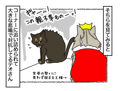 08112017_cat3mini.jpg