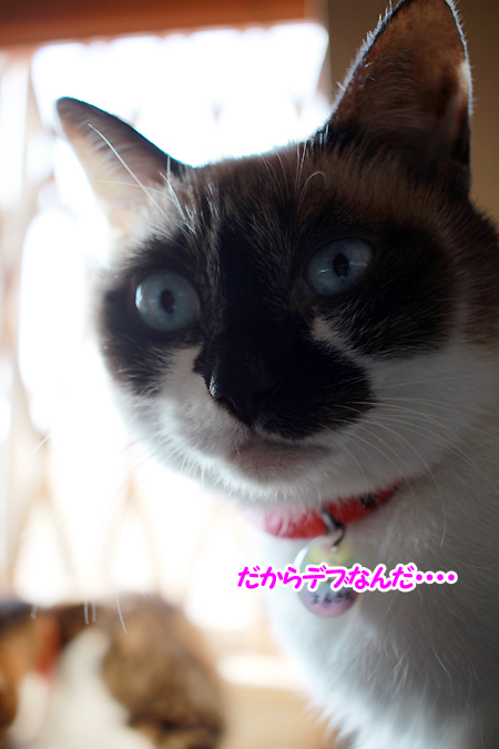 身も細る７