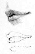 唇の描き方2